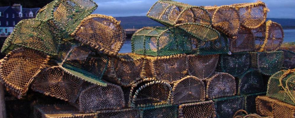 Фотография Тобермори