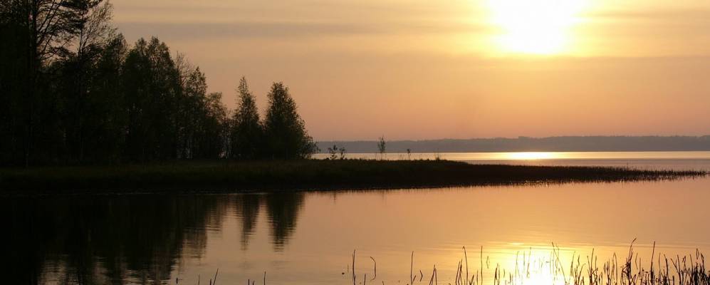 
            Фотография Лозы