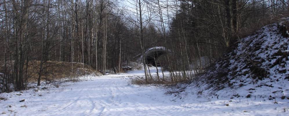 
            Фотография Ручьев