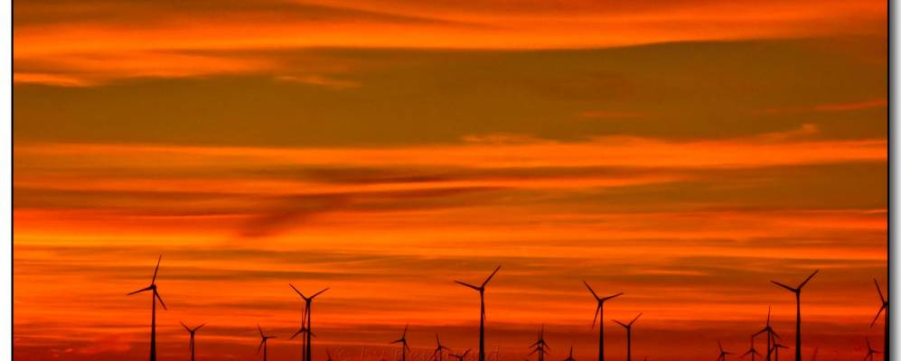 
            Фотография Коннерна