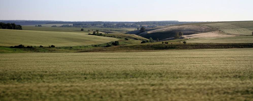 
            Фотография Нового Двора