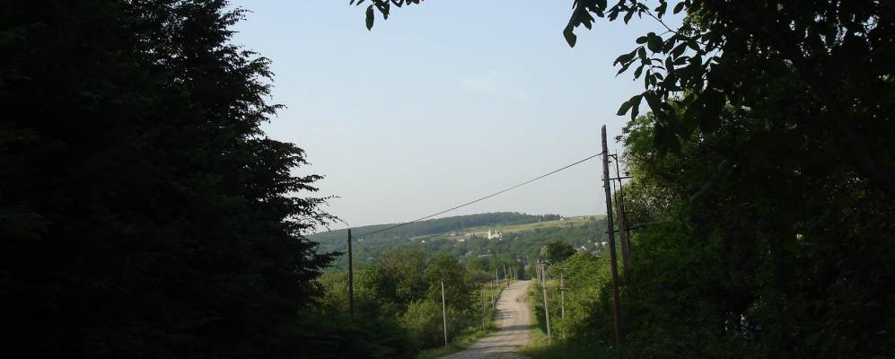 
            Фотография Чепоносы