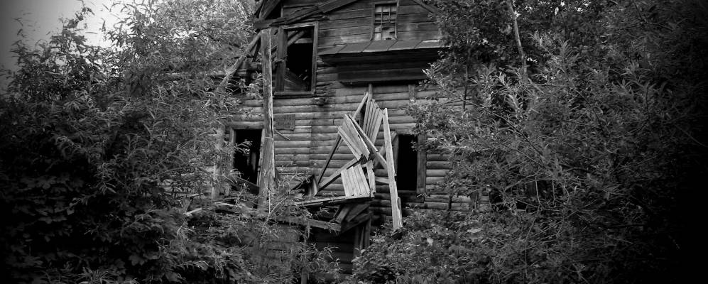 
            Фотография Гремучего