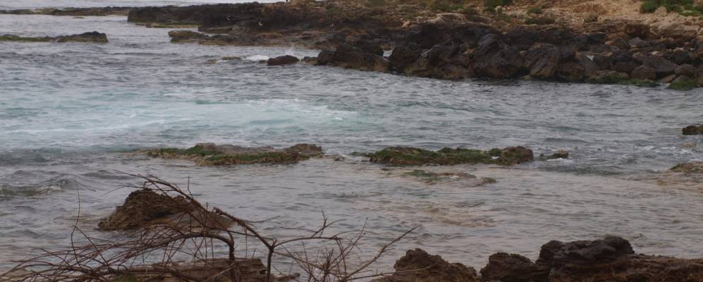 
            Фотография Калабернардо