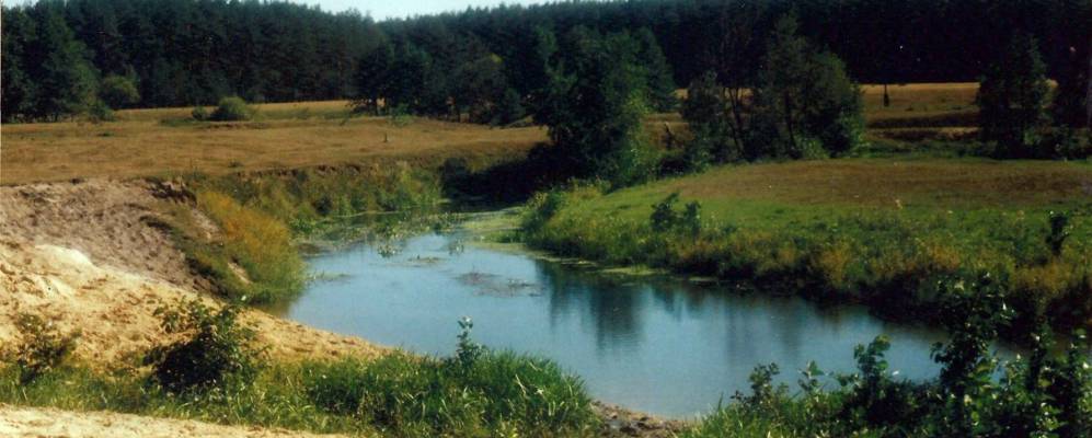 
            Фотография Борка