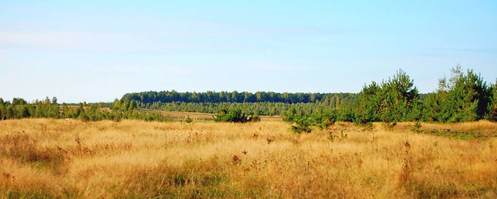 
            Фотография Малой Ведмежки