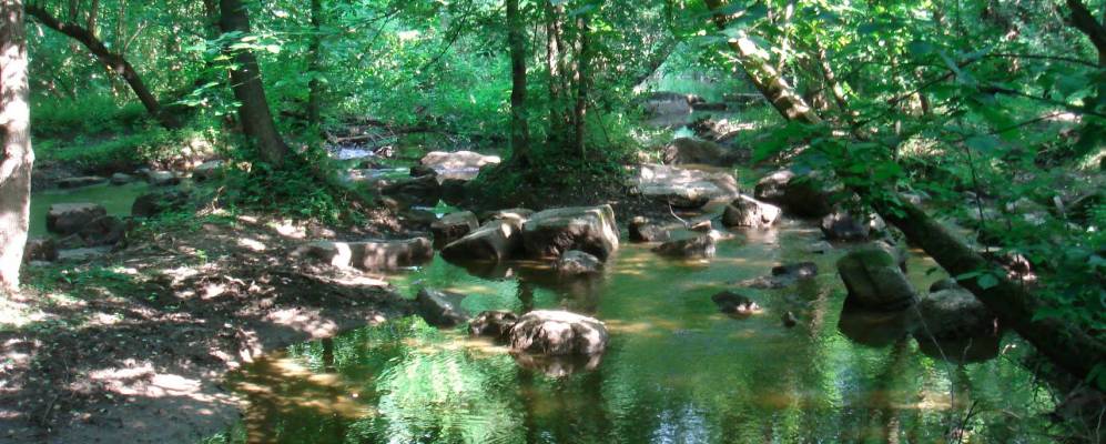 
            Фотография Воробиевки