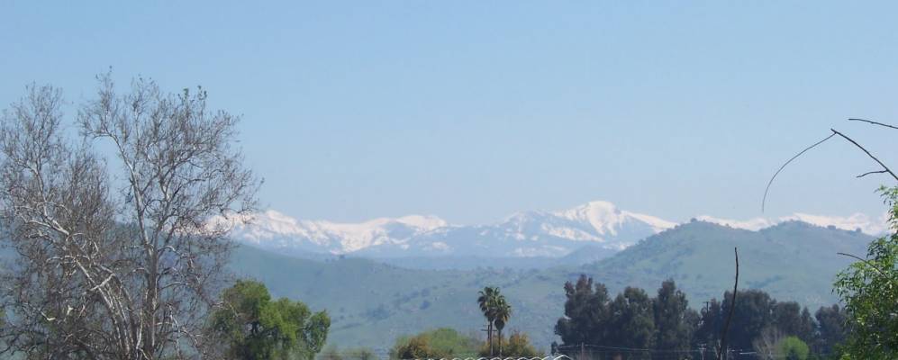 
            Фотография Вудлэйка