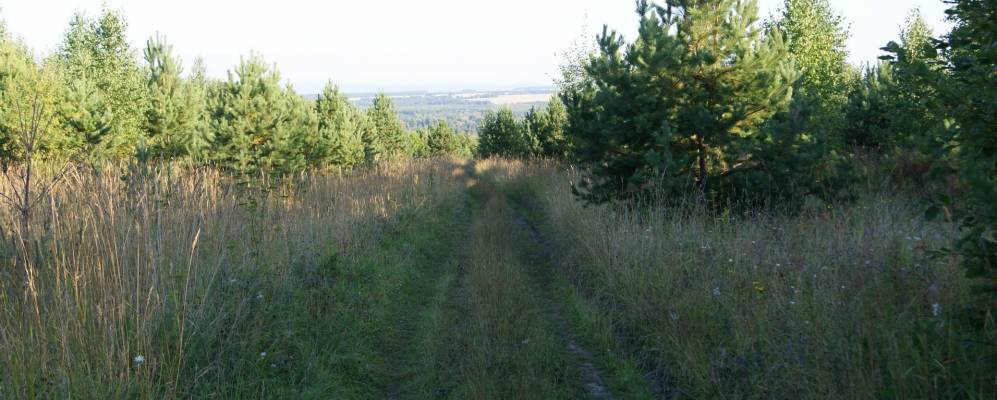 
            Фотография Плотбища