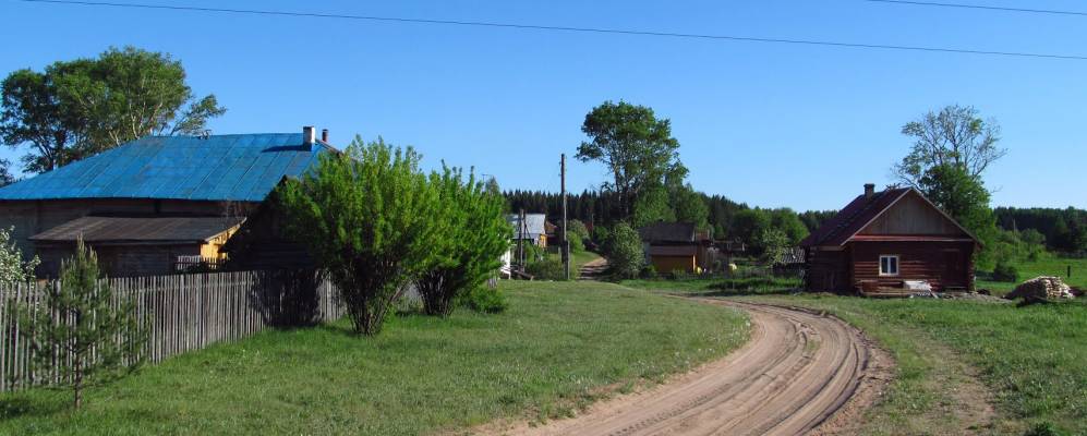 Фотография Силяновых