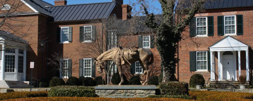 
            Фотография Мидлберг