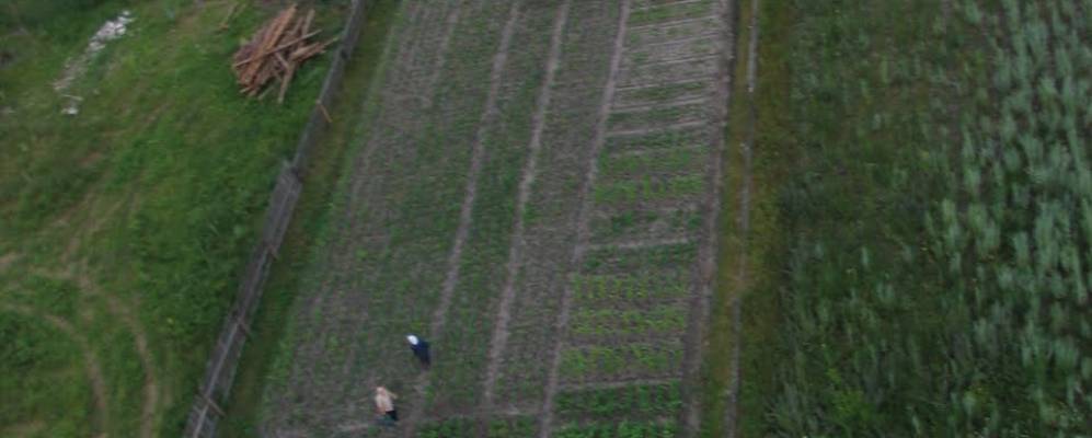 
            Фотография Гололобово