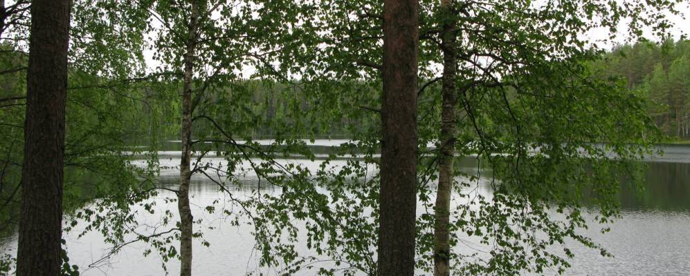 
            Фотография Комши