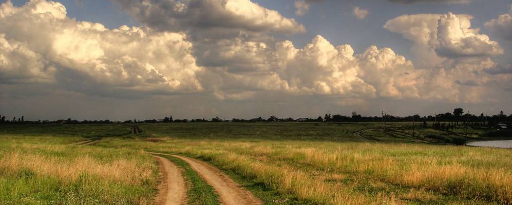 
            Фотография Пиперы