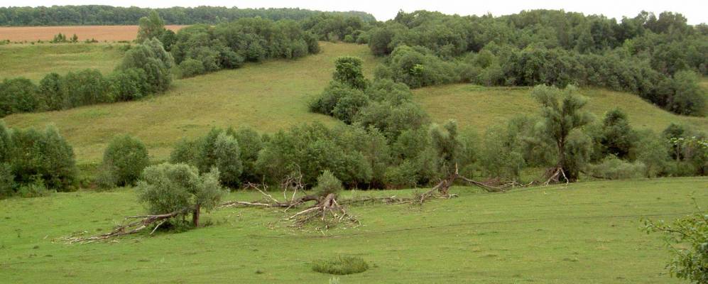 
            Фотография Астакасов