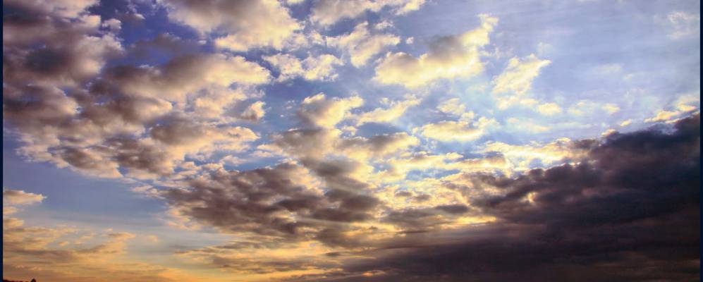 
            Фотография Лесного