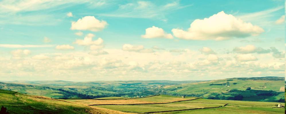 
            Фотография Уолсинэма