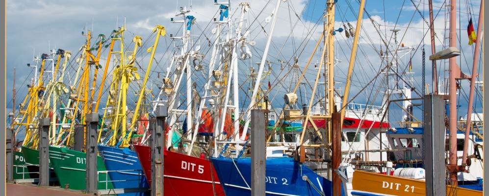 
            Фотография Дитцум