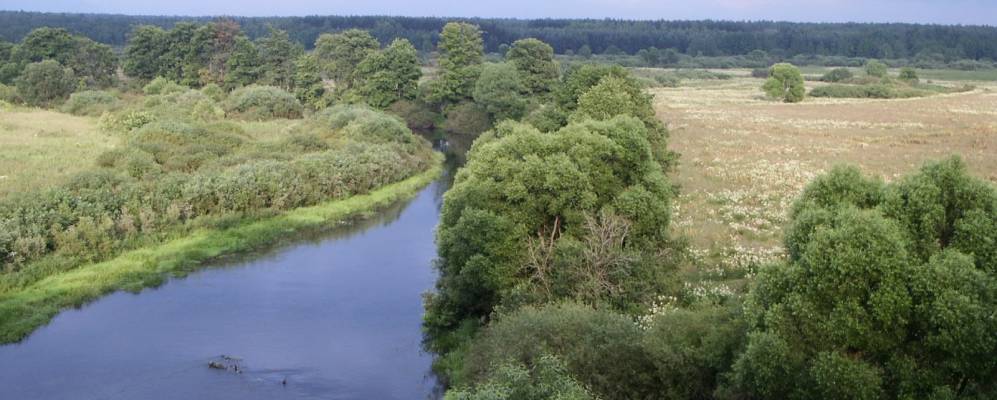 
            Фотография Хацыня