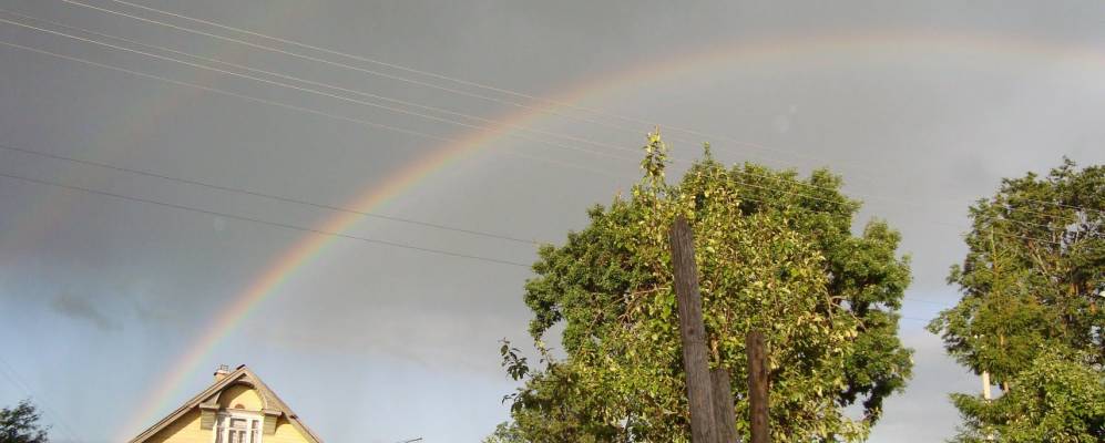 
            Фотография Новой