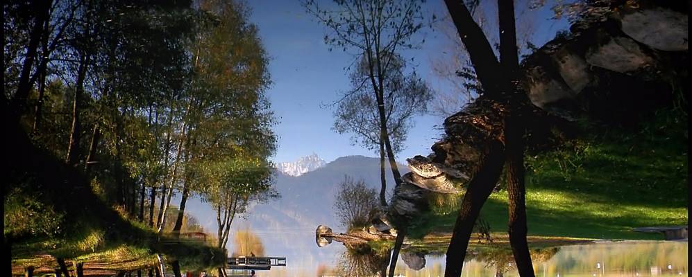 
            Фотография Доманси