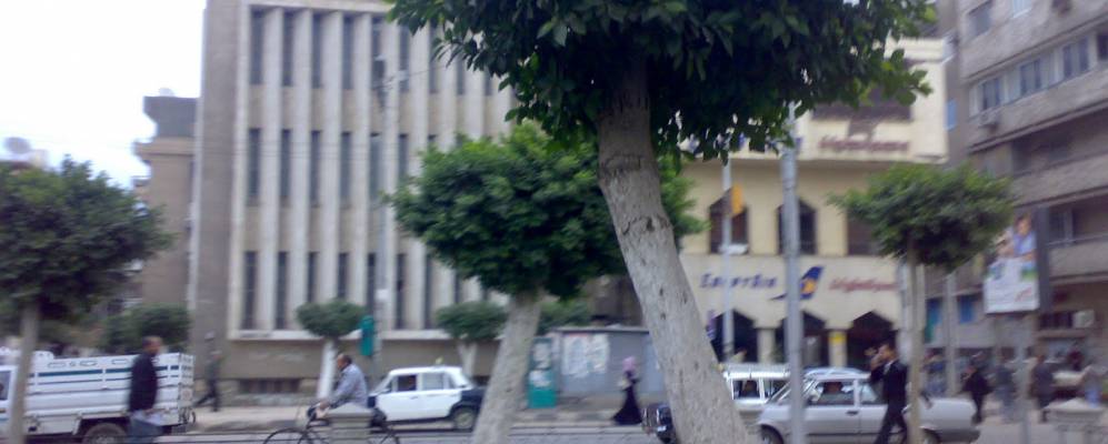 
            Фотография Танты