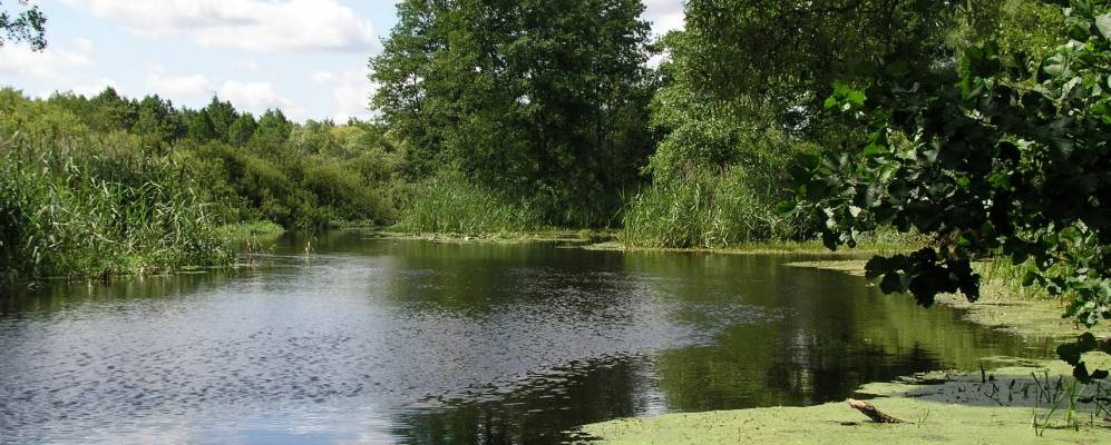 Фотография Стобыхвы