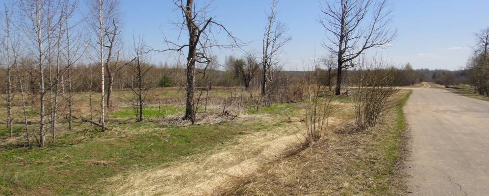 
            Фотография Борушки