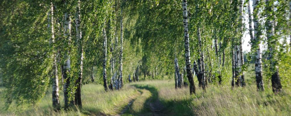 Фотография Боханов