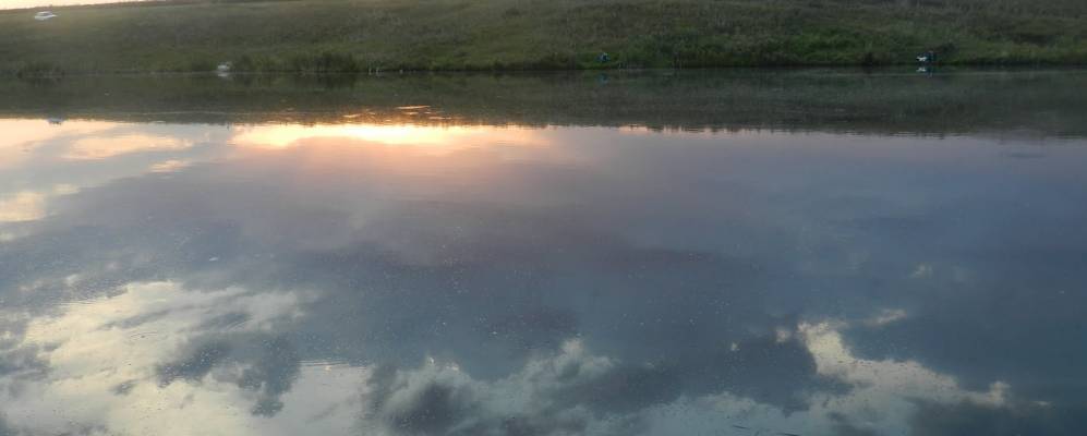 Фотография Грушевки