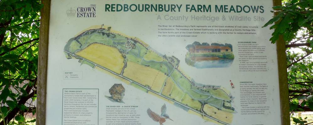 
            Фотография Редбоерна