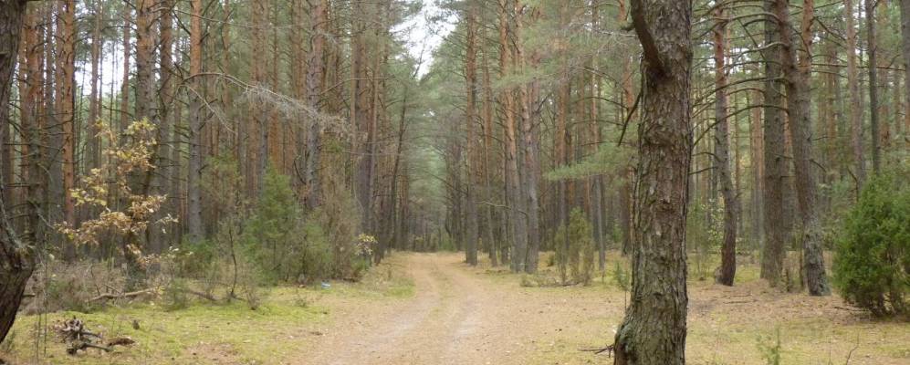 
            Фотография Якши