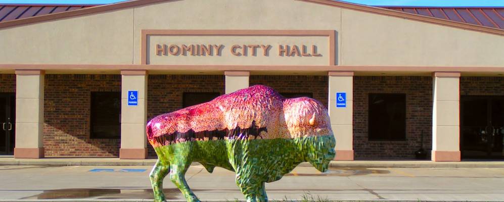 
            Фотография Хомини