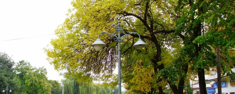 Фотография Кочани