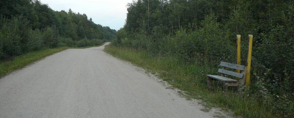 
            Фотография Жуковской