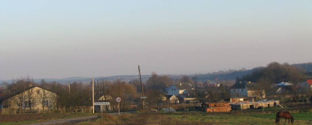 
            Фотография Жорниски