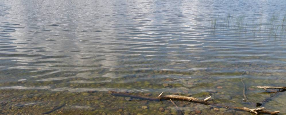 
            Фотография Сочихино