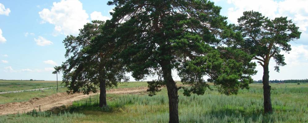 
            Фотография Ивановки