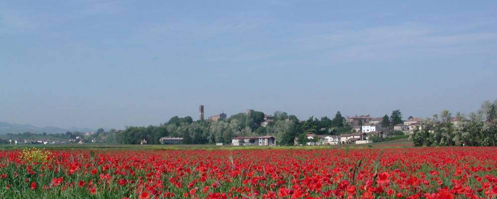 
            Фотография Монтебело делла Батальи