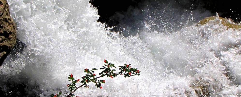 
            Фотография Сент-Обан