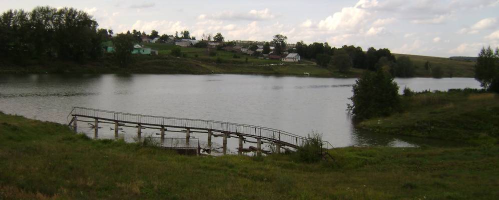 Фотография Задних Яндоушей