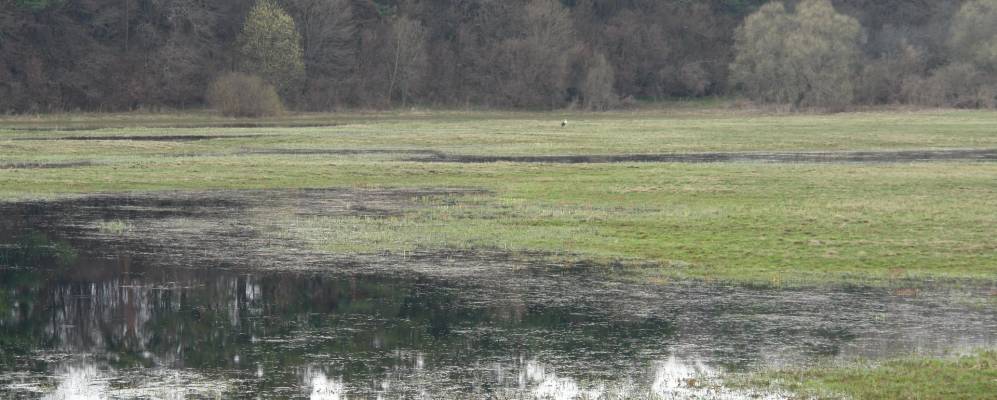 
            Фотография Новой Шарповки