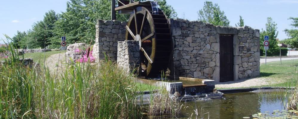 
            Фотография Воша