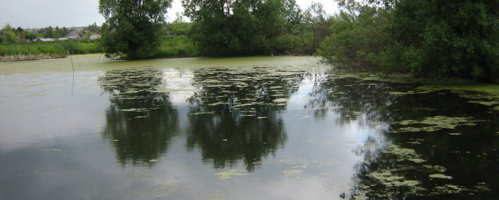 Фотография Судосево