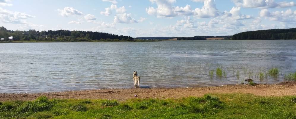 Фотография Фиминяты