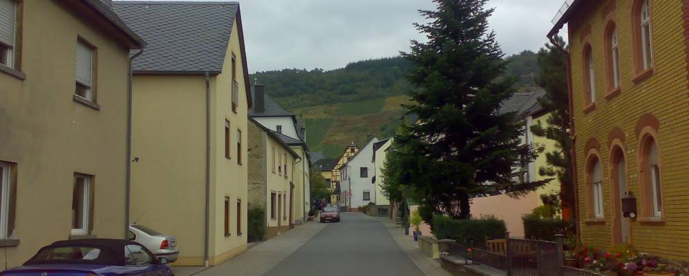 
            Фотография Винтриха