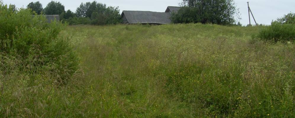 Фотография Колтырино