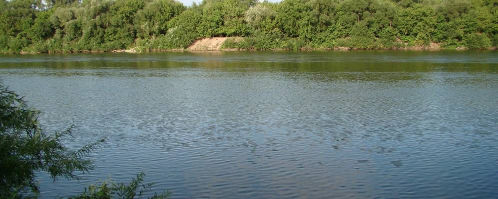 
            Фотография Задонья