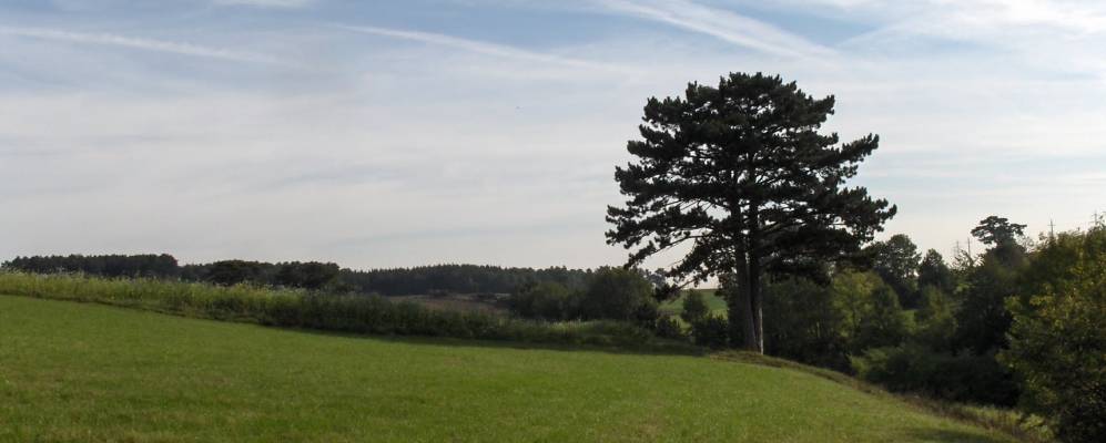 
            Фотография Графенбаха