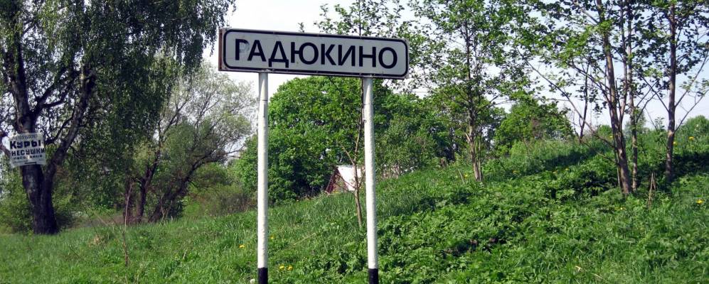 Фотография Реутово